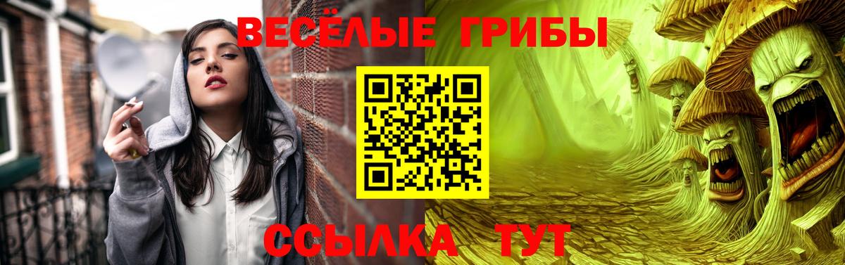Бахчисарай  Галлюциногенные грибы Psilocybe  где найти   Вход с VPN 